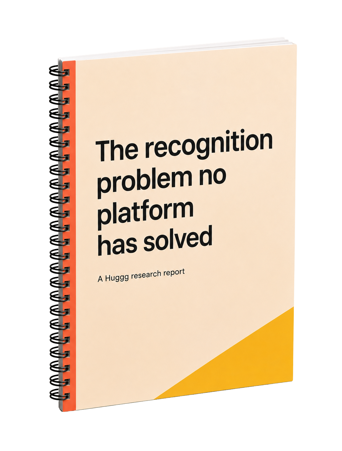 recognition problem